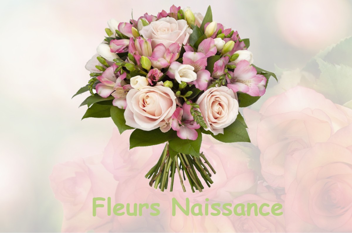 fleurs naissance MISSY-AUX-BOIS