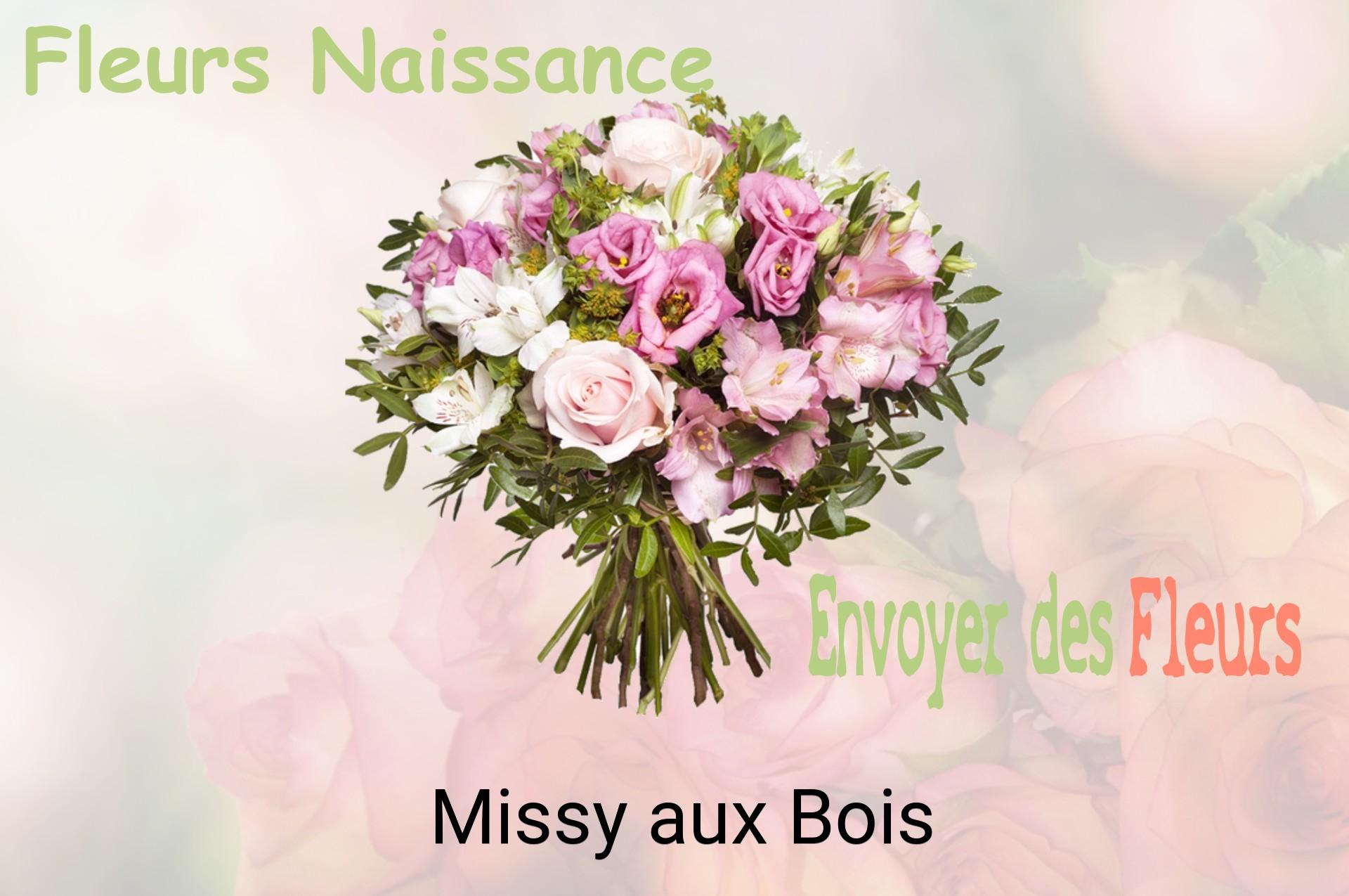 Bouquet de fleurs de naissance livré à Missy-aux-Bois
